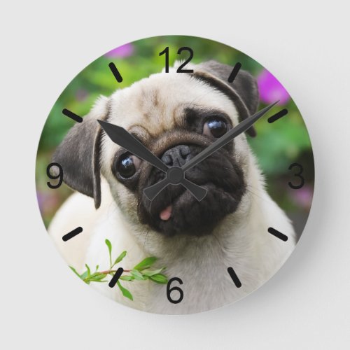Cute Fawn Color Pug Puppy Dog Portrait dial_plate Round Clock