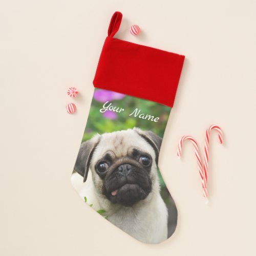 Cute Fawn Colored Pug Puppy Dog Face Pet _ Name  Christmas Stocking