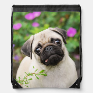 Cute Fawn Colored Pug Puppy Dog Face Pet Photo - Drawstring Bag