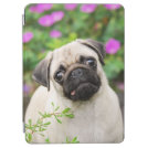 Cute Fawn Colored Pug Puppy Dog Face Pet Photo - iPad Air Cover Cute Fawn Colored Pug Puppy Dog Face Pet Photo - iPad Air Cover