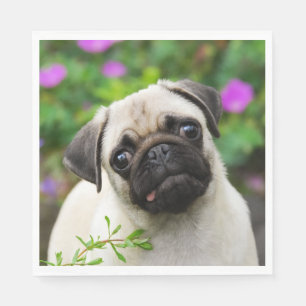 Cute Fawn Colored Pug Puppy Dog Face Pet Photo on Napkins