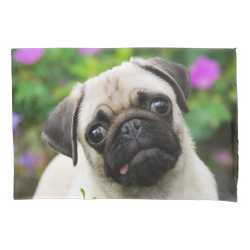 Cute Fawn Colored Pug Puppy Dog _ Pillow_Cover Pillow Case