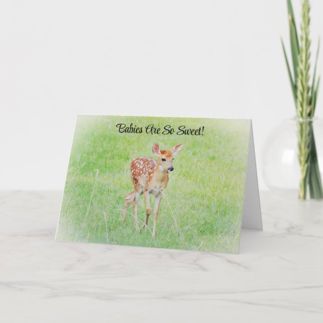 Cute Fawn Deer Baby Congratulations Card (Front)