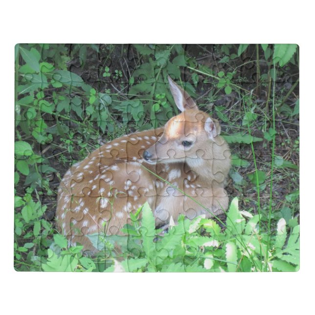 Cute Fawn Jigsaw Puzzle (Puzzle Horizontal)