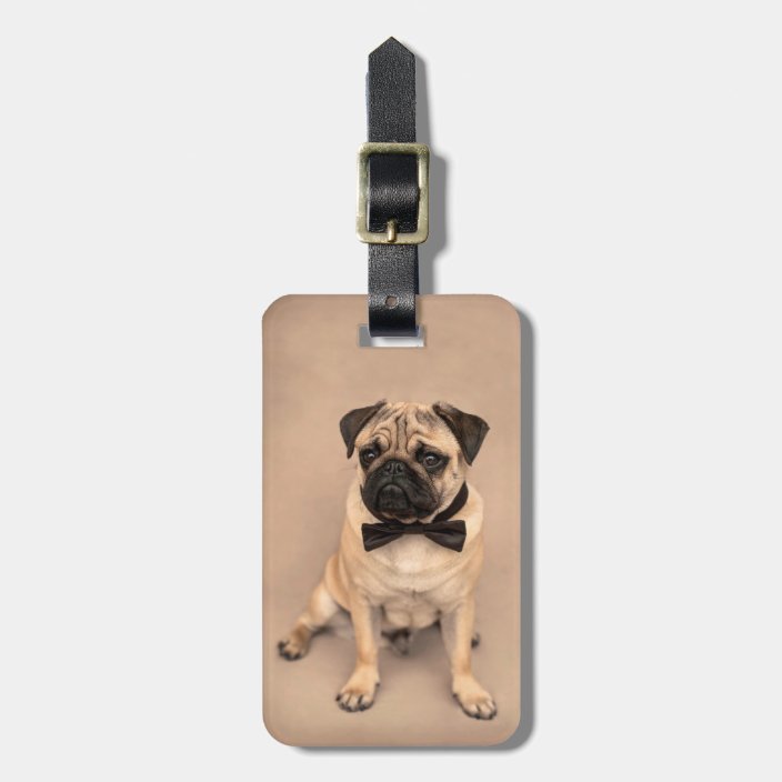 pug luggage tag