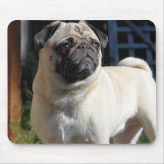 Cute Fawn Pug Mousepad
