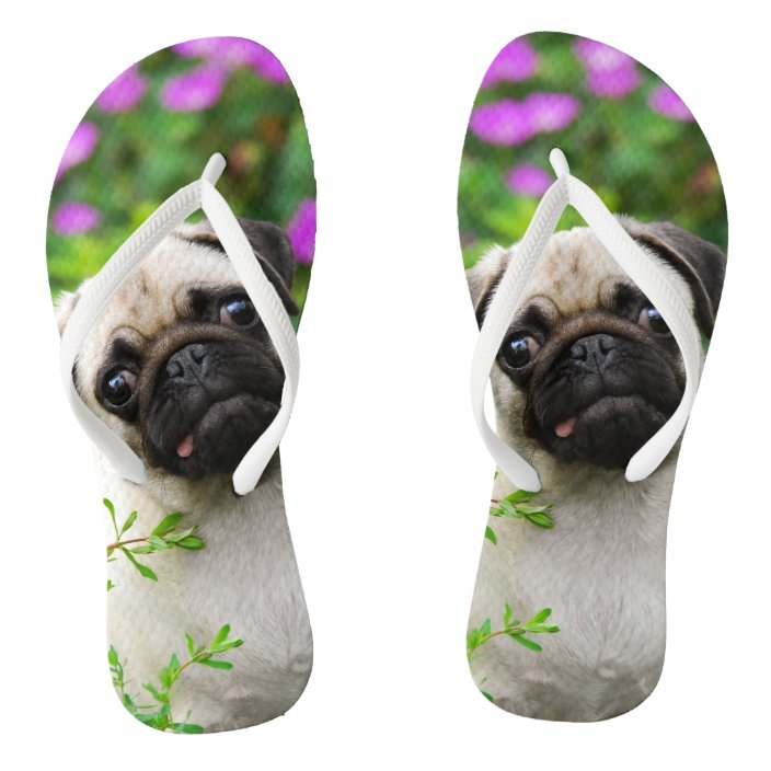 pug flip flops