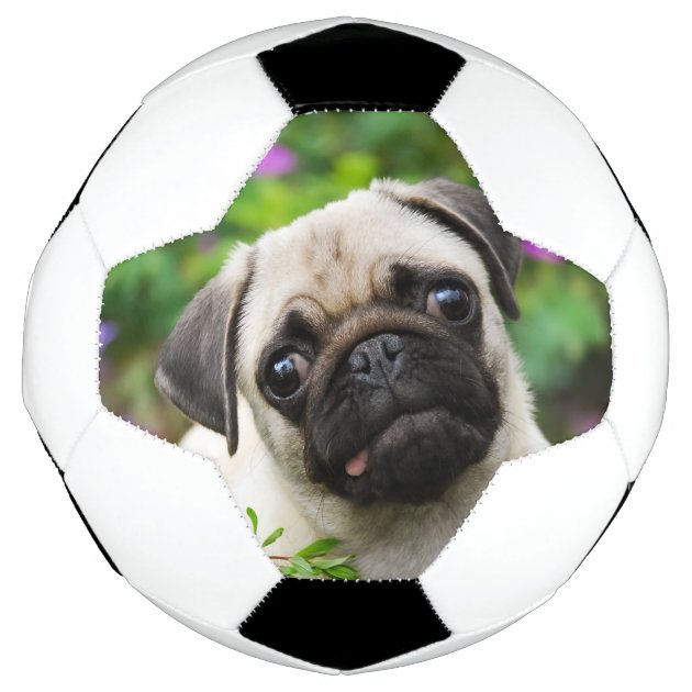 pug balls