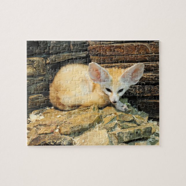 Cute fennec fox jigsaw puzzle (Horizontal)