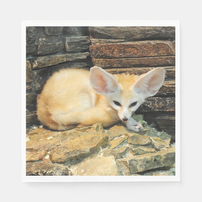 Cute fennec fox paper napkins (Front)