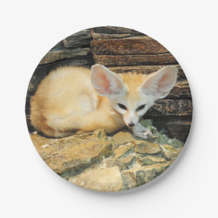 Cute fennec fox paper plates