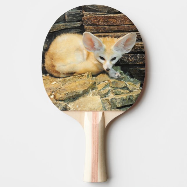 Cute fennec fox Ping-Pong paddle (Front)