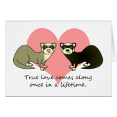 Cute Ferrets True Love (Front Horizontal)