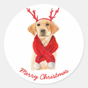 Cute Festive Christmas Labrador Puppy Classic Round Sticker