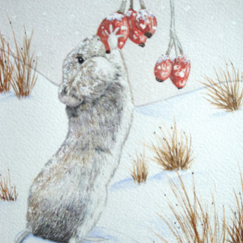 Cute Field Mouse Winter Snow Scene Wildlife Round Paper Coaster by artoriginals at Zazzle