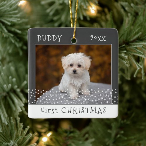 Cute First Christmas Dog Pet Photo Stars Gray  Ceramic Ornament