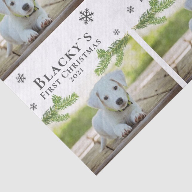 Cute First Christmas Pine Puppy Dog Pet Photo Tissue Paper (Detail)