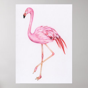 Cute Flamingo Drawing Poster