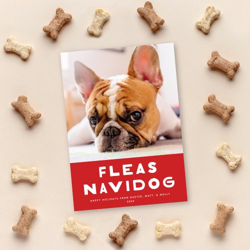 Cute Fleas Navidog Dog Pet Holiday Photo Card