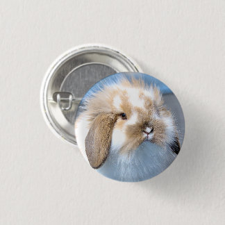 Cute Flemish white and brown rabbit Button