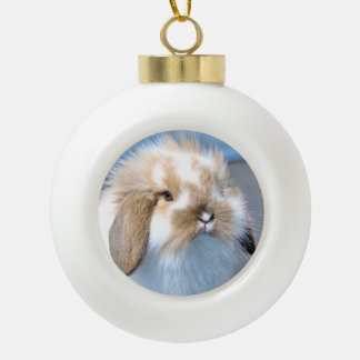Cute Flemish white and brown rabbit      Ceramic Ball Christmas Ornament