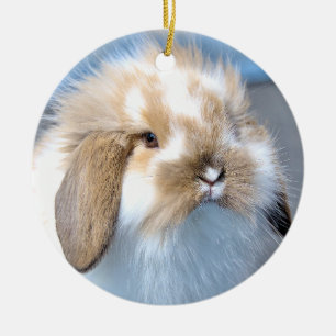 Cute Flemish white and brown rabbit Ceramic Ornament
