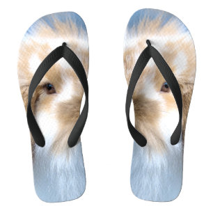 Cute Flemish white and brown rabbit Flip Flops