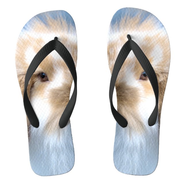 Cute Flemish white and brown rabbit  Flip Flops (Footbed)