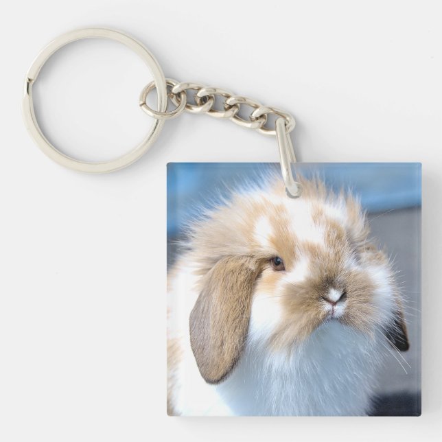 Cute Flemish white and brown rabbit     Keychain (Front)