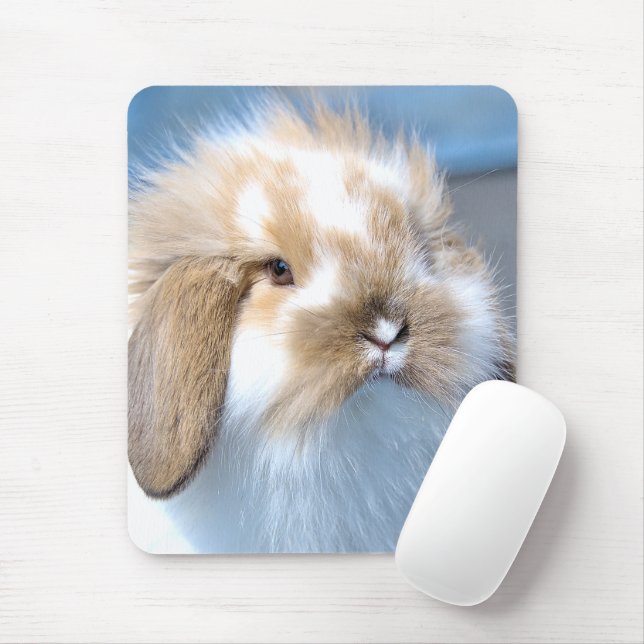 Cute Flemish white and brown rabbit   Mouse Pad (With Mouse)