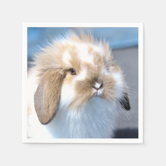 Cute Flemish white and brown rabbit     Napkins