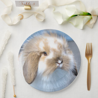 Cute Flemish white and brown rabbit      Paper Plates