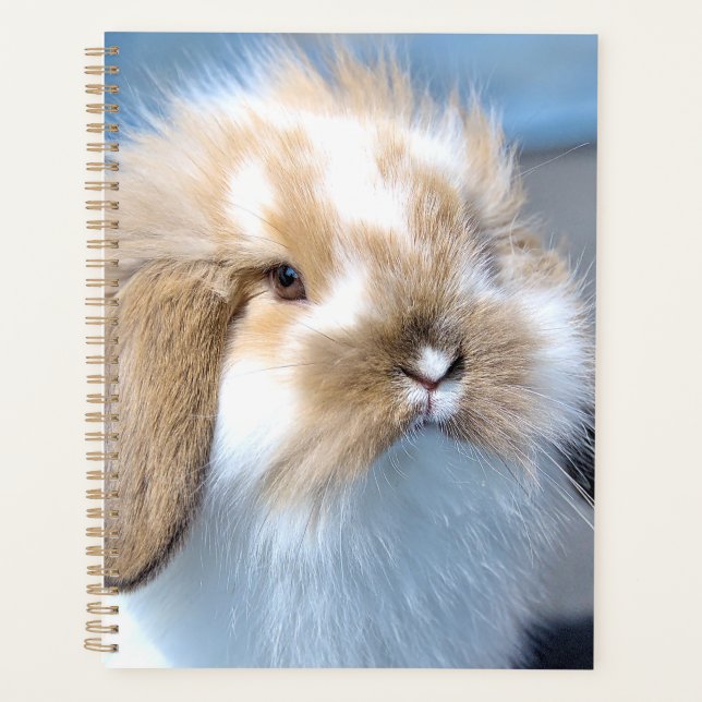 Cute Flemish white and brown rabbit    Planner (Front)
