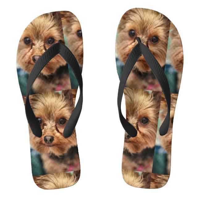 Cute   flip flops (Footbed)