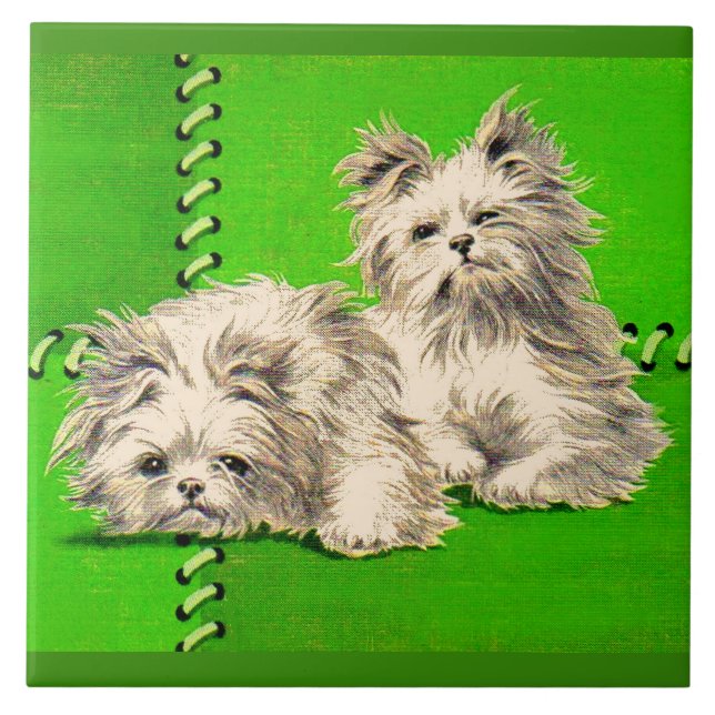 cute floofy dogs ceramic tile (Front)