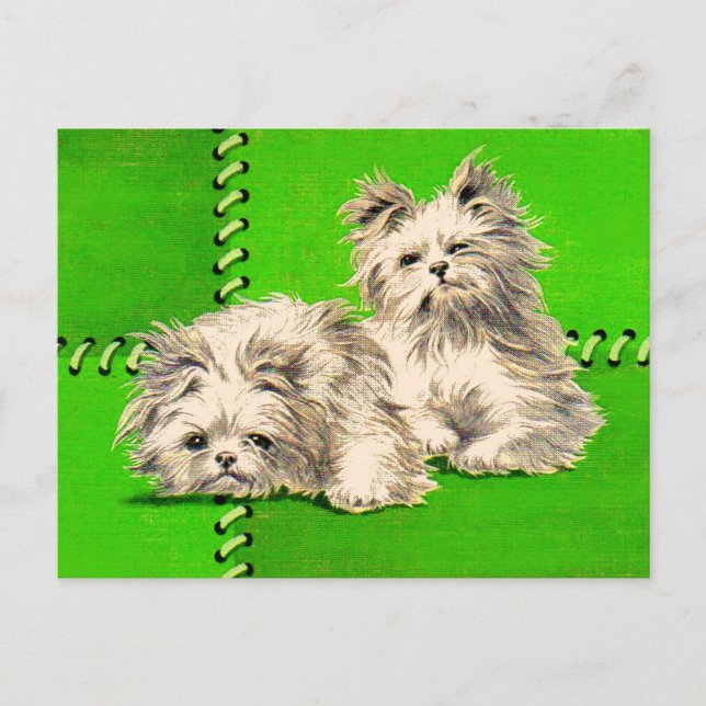 cute floofy dogs postcard (Front)