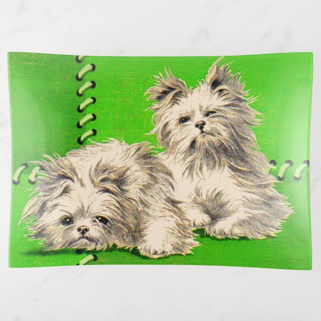 cute floofy dogs print trinket tray (Front)