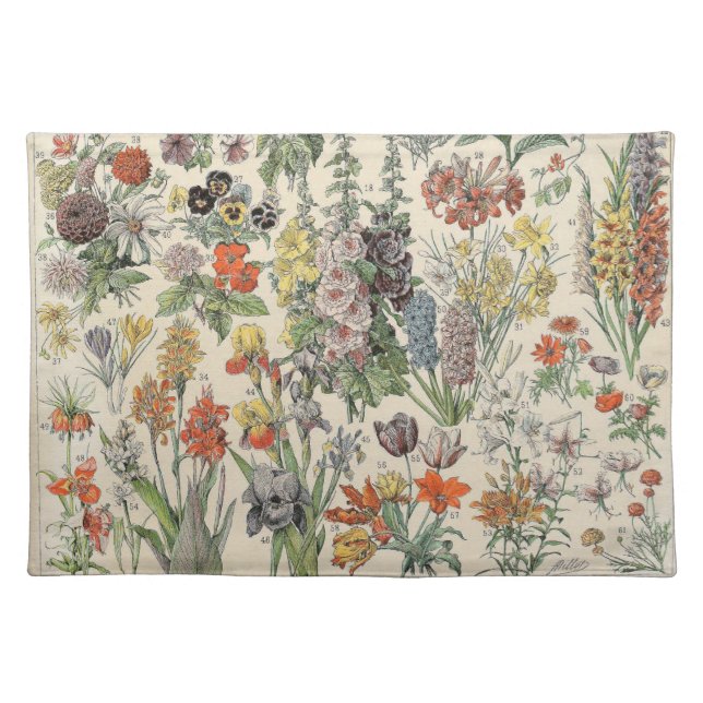 Cute Floral Botanical Drawing by Adolphe Millot Cloth Placemat (Front)