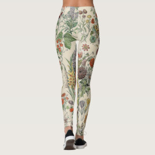 Cute Floral Botanical Drawing by Adolphe Millot Leggings