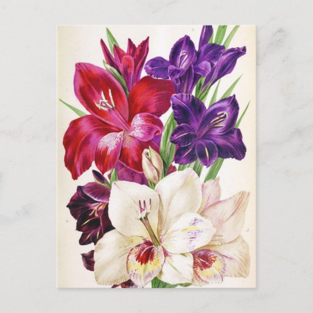 Cute Floral Postcard (Front)