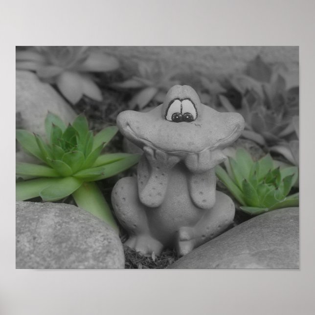 Cute Flower Garden Frog Partial Color Poster (Front)