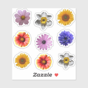 Cute Flower Photo Cutouts Sticker Set