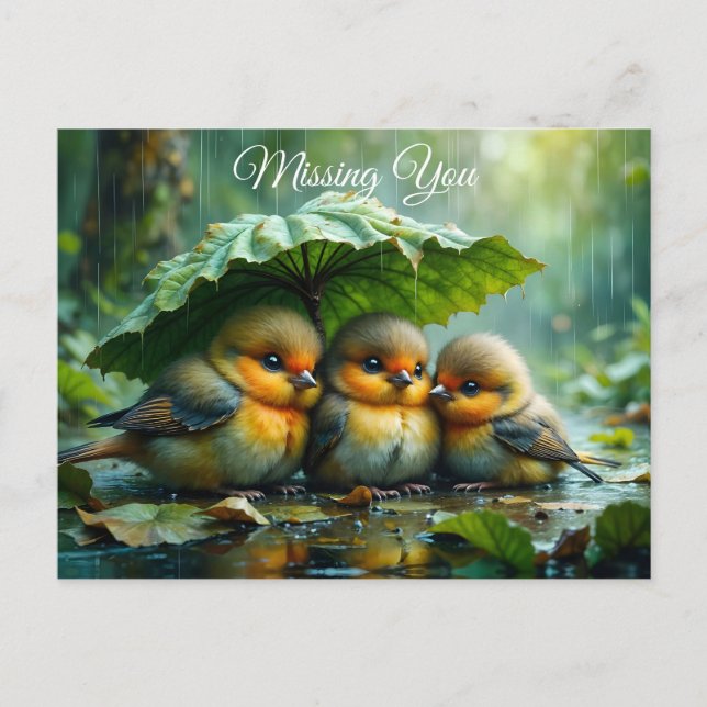 Cute fluffy birds in rain *Missing You* Postcard (Front)