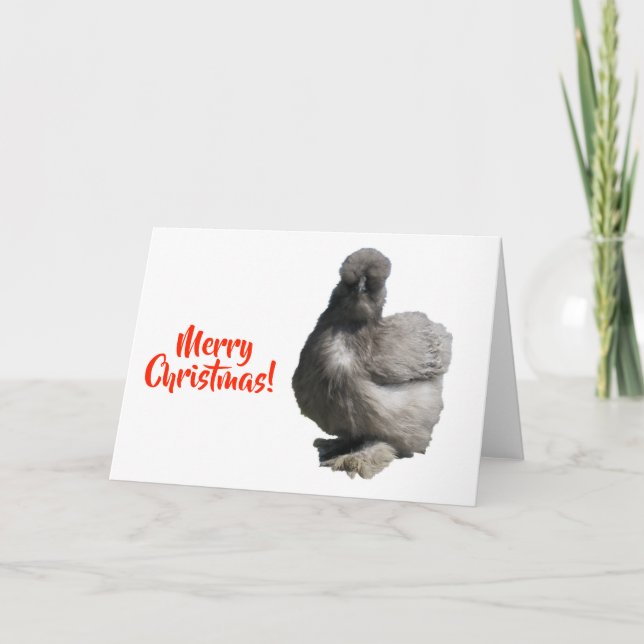 Cute Fluffy Blue Silkie Chicken Merry Christmas Card (Front)