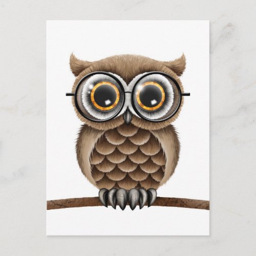 Cute Fluffy Brown Owl with Reading Glasses White Postcard