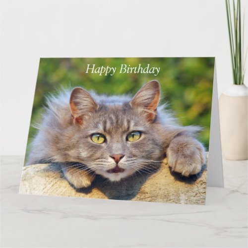 Cute fluffy cat big eyes custom birthday card