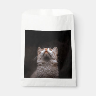 Cute Fluffy Cat Looking Up Black Background Animal Favor Bag