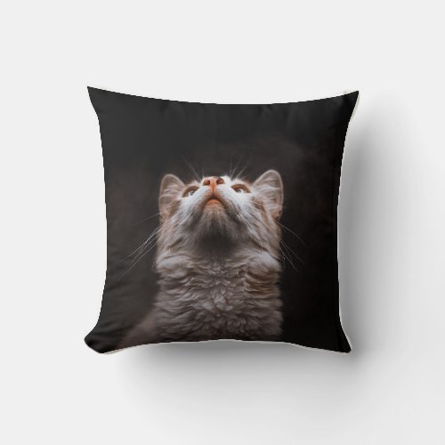 Cute Fluffy Cat Looking Up – Cozy Pet Lover Desi Throw Pillow