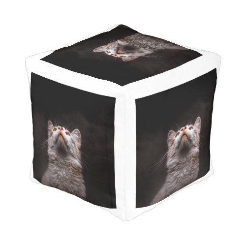 Cute Fluffy Cat Portrait Black Background Pet Love Pouf