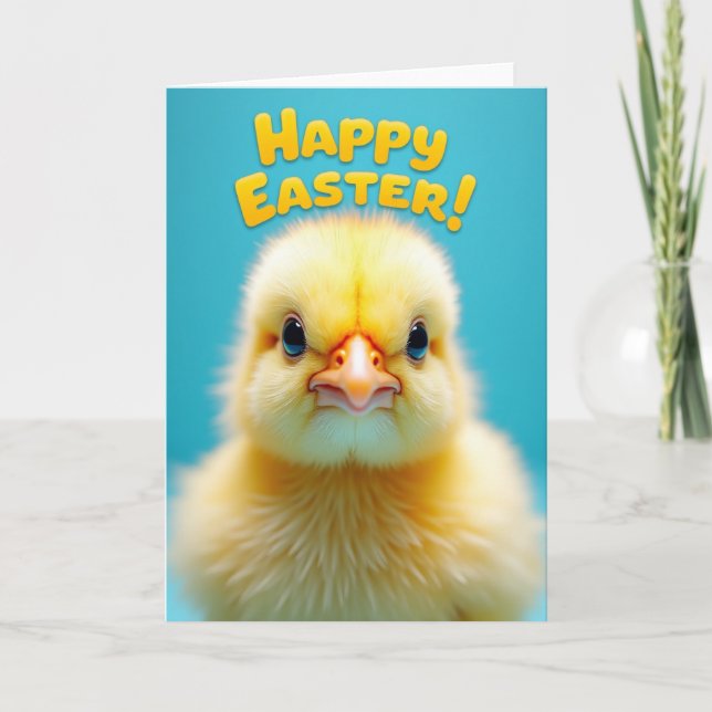 Cute Fluffy Chick Greeting Card (Front)